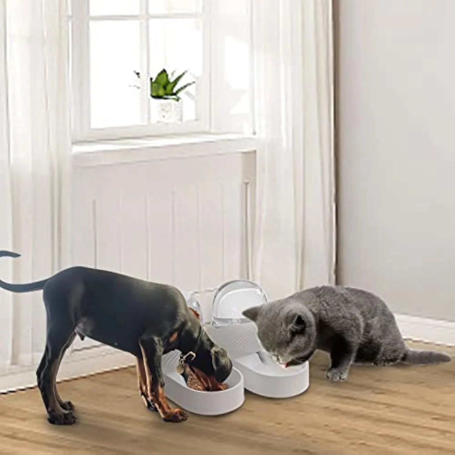 White automatic cat feeder and water dispenser set with wave-patterned shell.