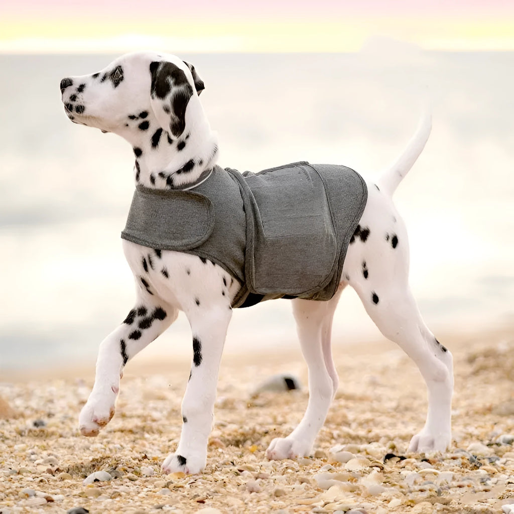 Heather grey dog anxiety vest made from brocade cotton ponte-de-roma, showing sizing from XXS to XXL.