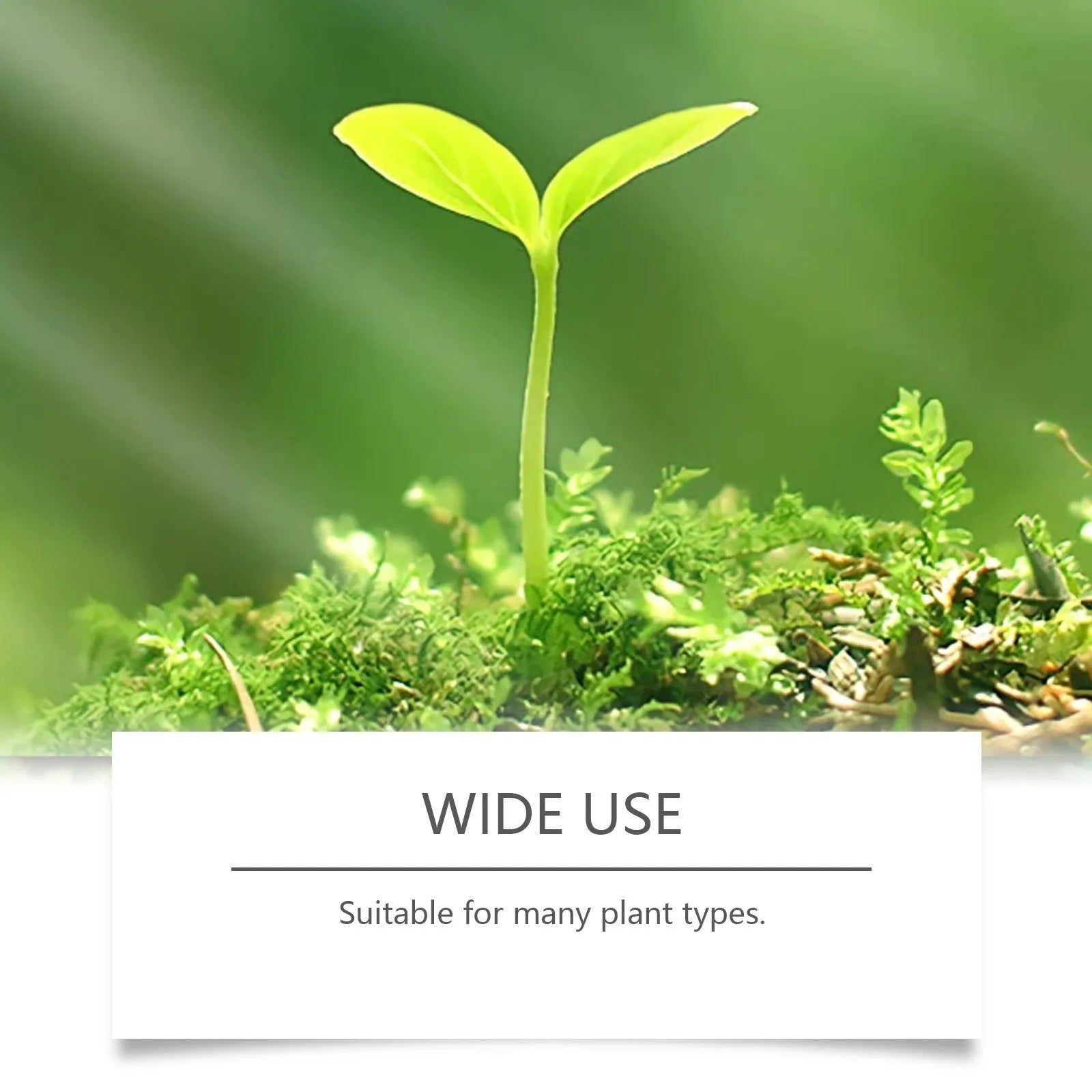 Plant Growth Boost 120ml plant nutrition spray bottle with ingredients listed: water, glycerin, urea, 1,2-hexanediol, potassium chloride