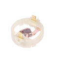 Replacement carbon brush holder for 895 875 887 model screwdriver motors