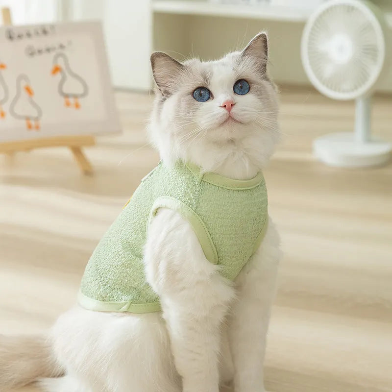 Green cat clothing with a cartoon bear patch, made from hollowed-out knitted fabric.