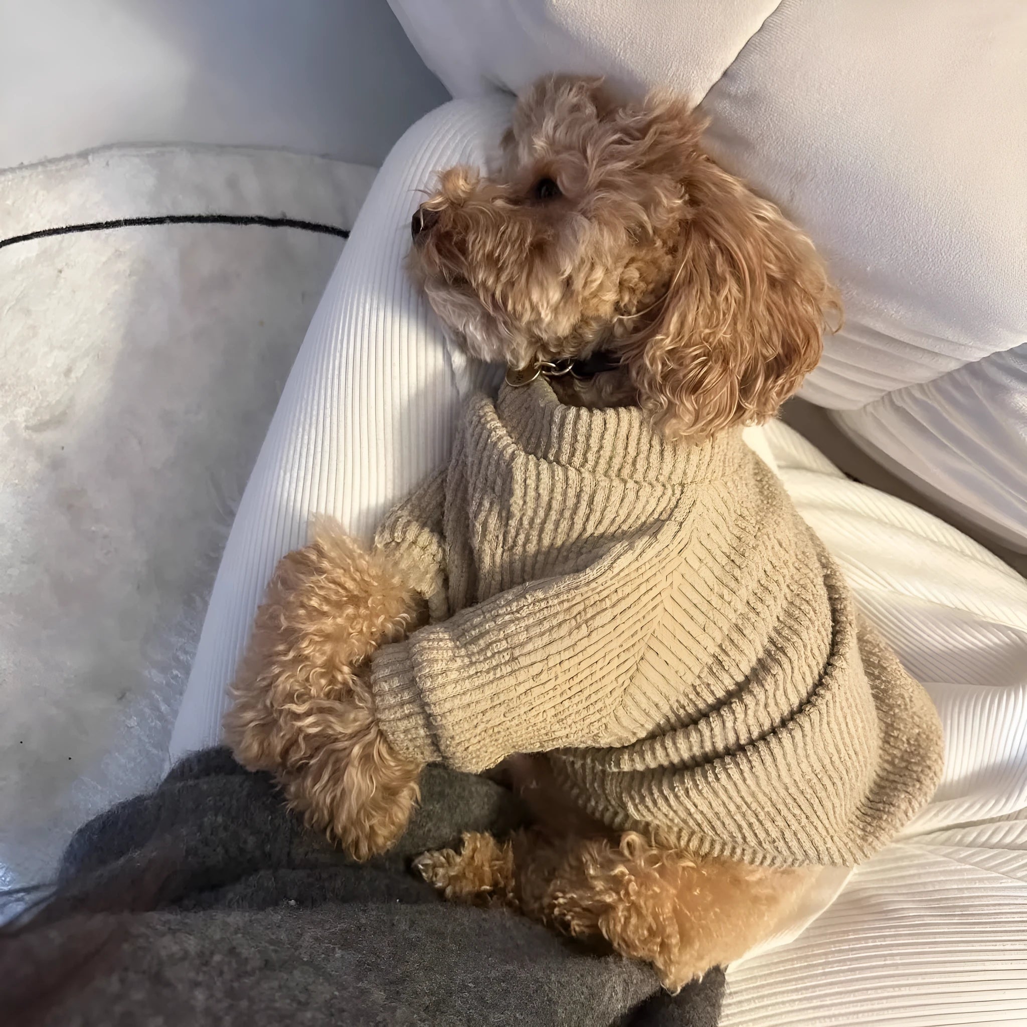 Brown cloth dog sweater pullover for small breed dogs on size chart