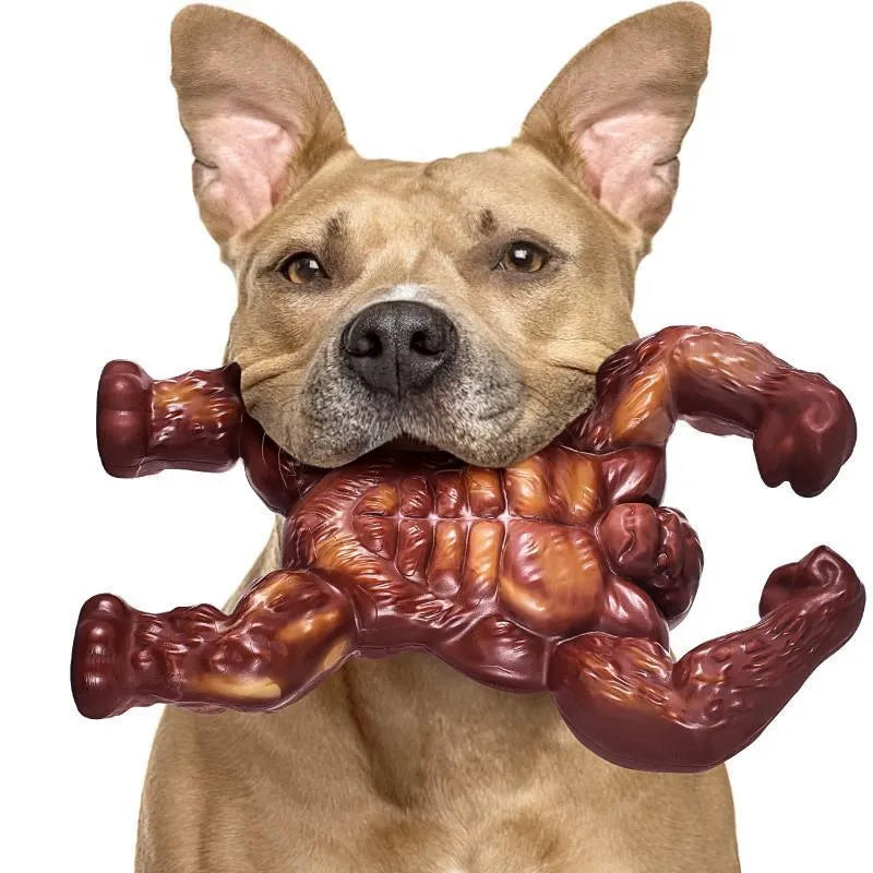 Scarlet coloured nylon dog chew toy with beef flavour and molar nibbling design