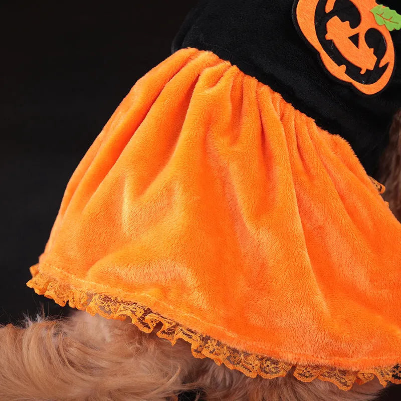 Orange Halloween pumpkin skirt pet costume for small dogs made from crystal velvet fabric