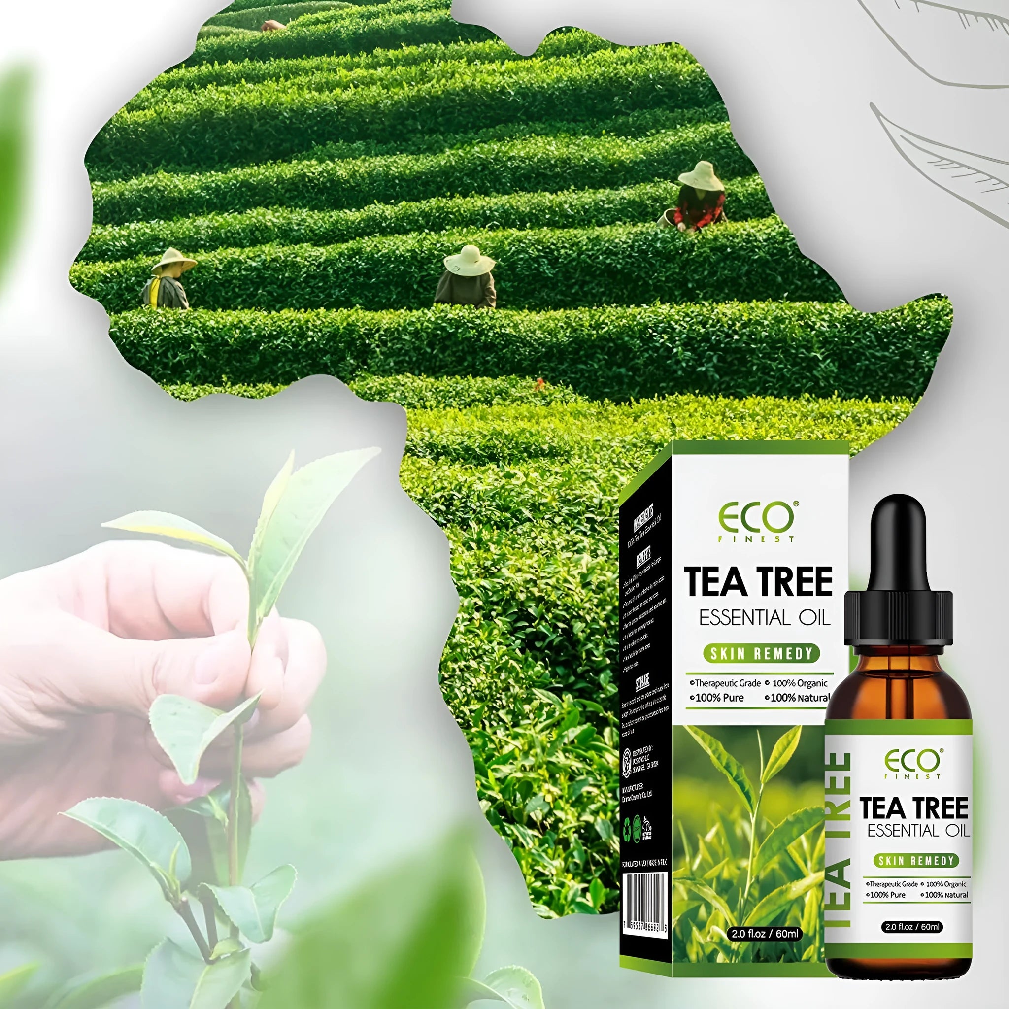 Essential tea tree oil massage oil 60ml bottle for acne skin