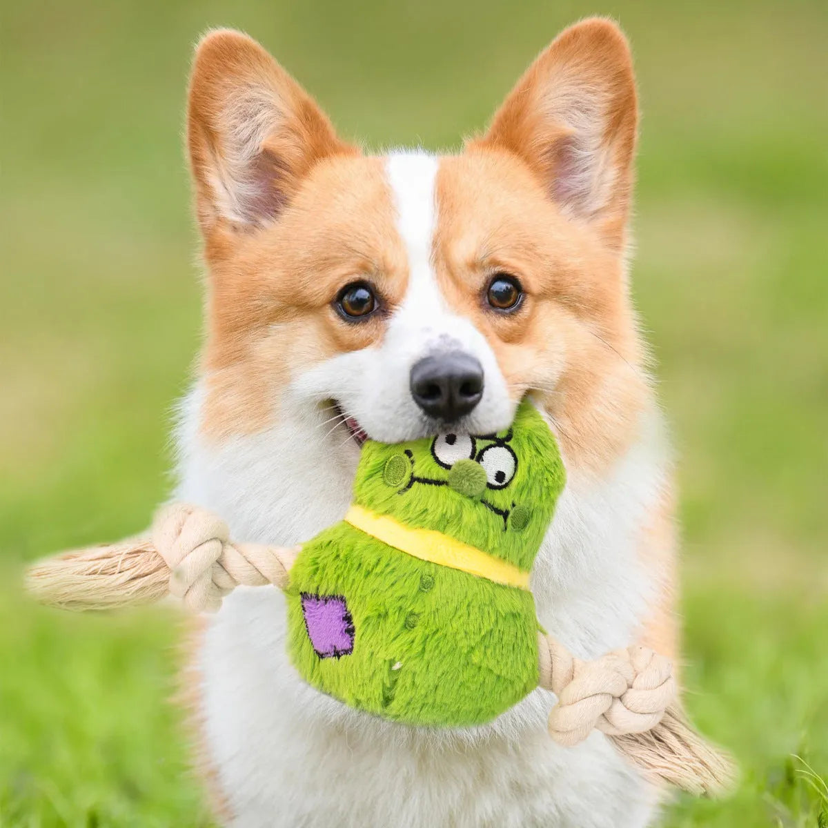Green interactive dog plush rope knot tug toy with molar tooth chew centre on a white background.