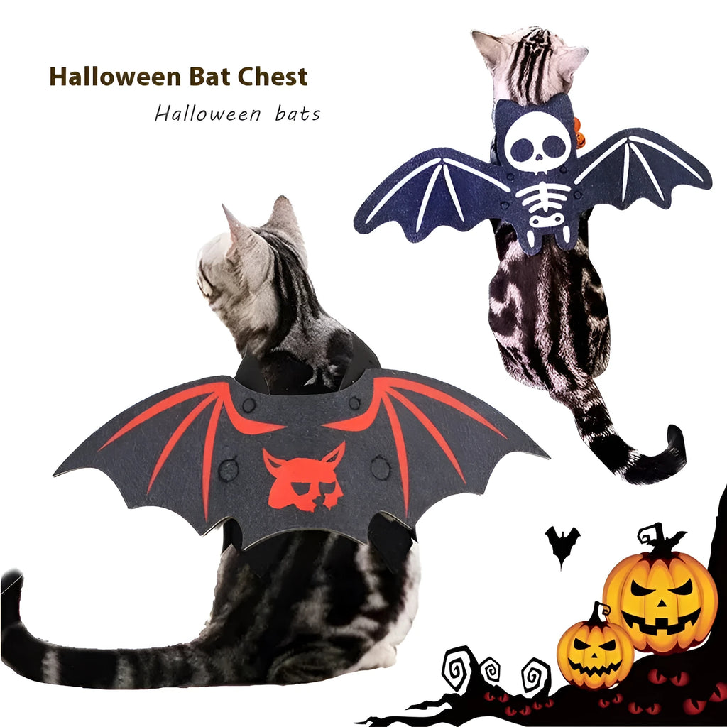 Halloween batwing cat costume in felt with pumpkin bat colour and bell, size S or M