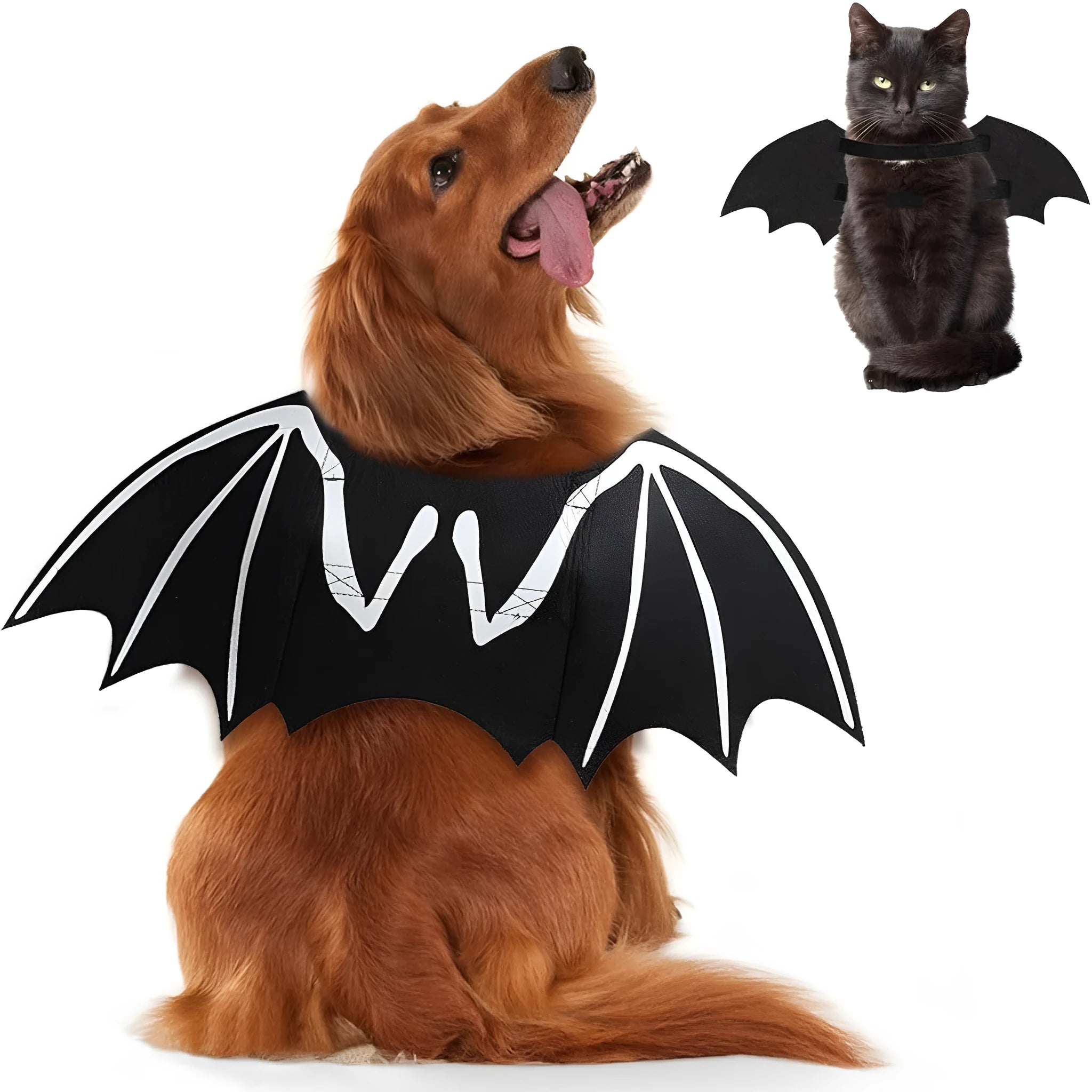 Small dog wearing a black bat costume with luminous skeleton bone wings against a Halloween background