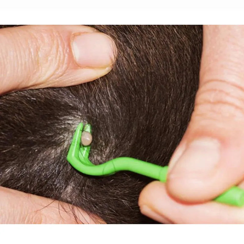 Three plastic tick removal hooks for pet grooming in blue and green colours
