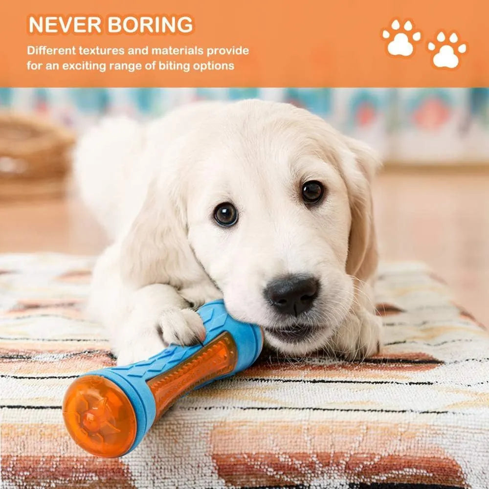 Set of four colourful floating dog toys: a ball, a barbell, and two tyres on a blue background.