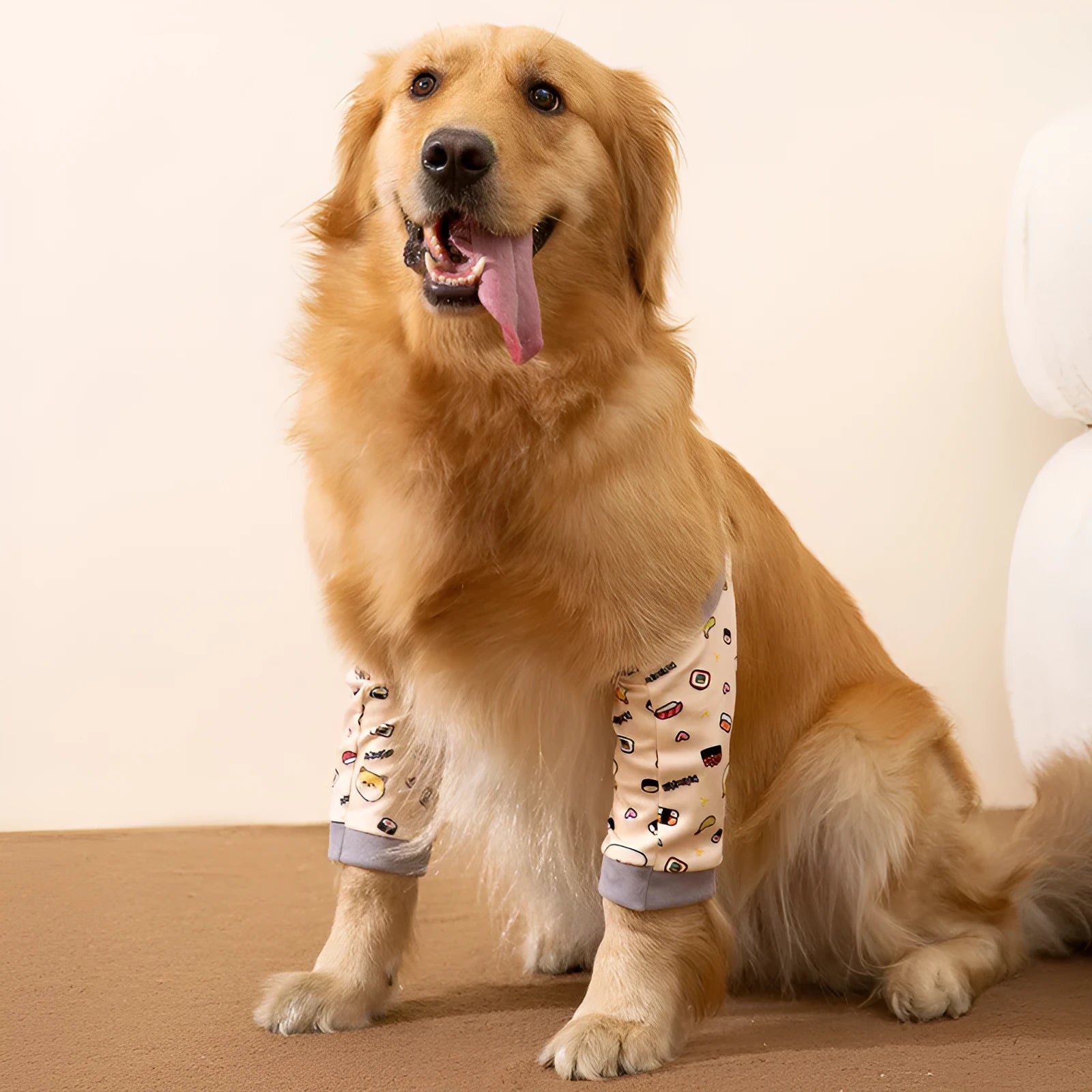 Dog wearing blue knee protector with thick elbow padding and matching scarf