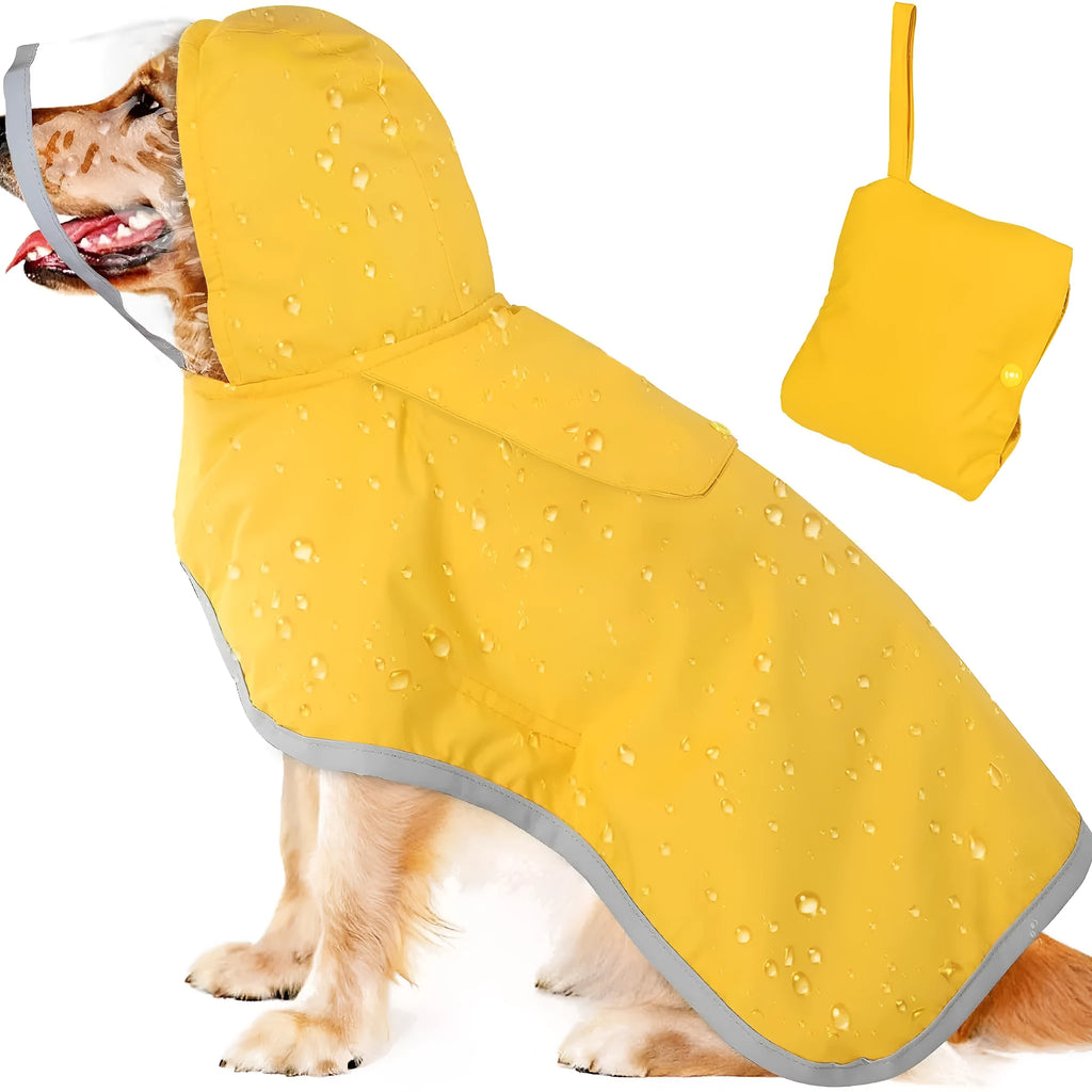 Dog raincoat in orange with transparent hood, waterproof breathable fabric, belly coverage, on a small dog