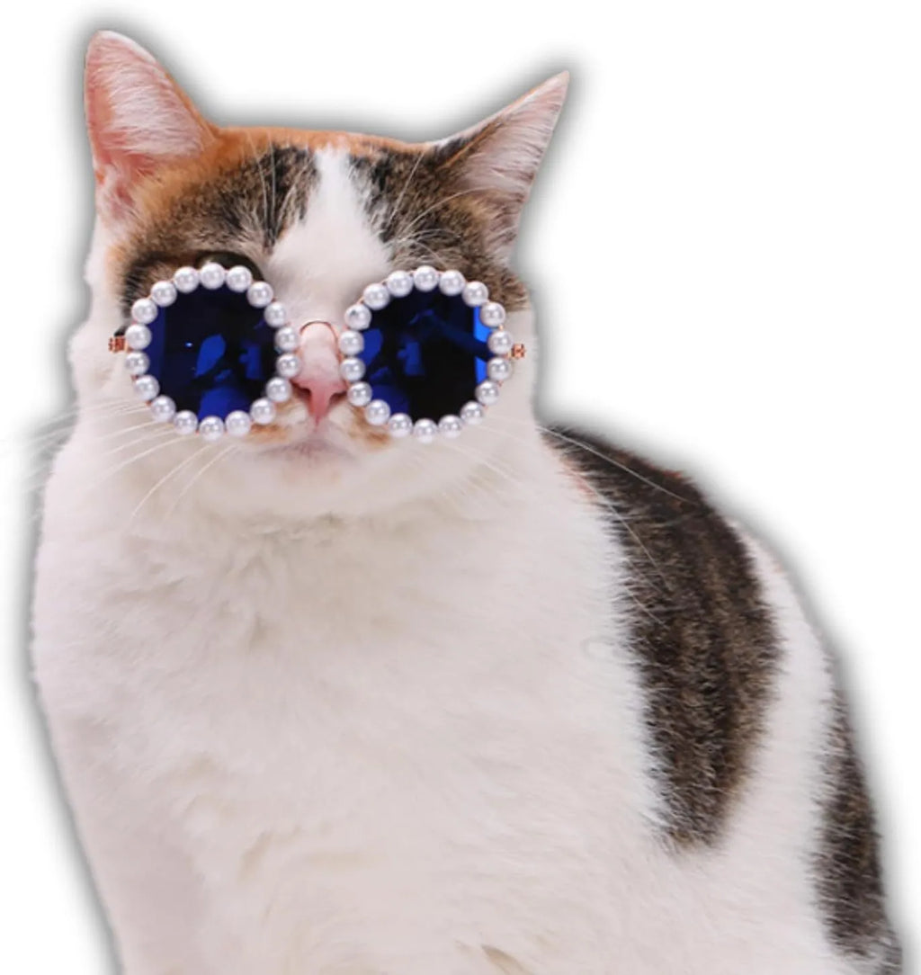 Cat and dog pearl-rimmed round sunglasses in multiple colours for pet party dress-up