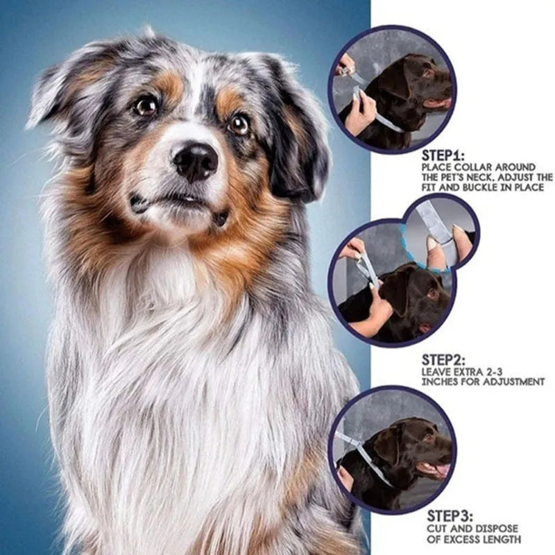 Rainbow plastic flea prevention collar for pets in cat and dog sizing options