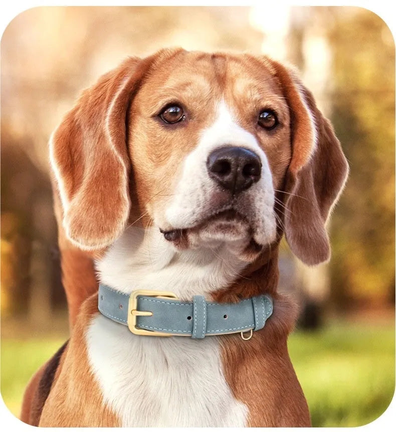 A brown double-layer leather dog collar with mohair lining and a matching lead, laid flat.