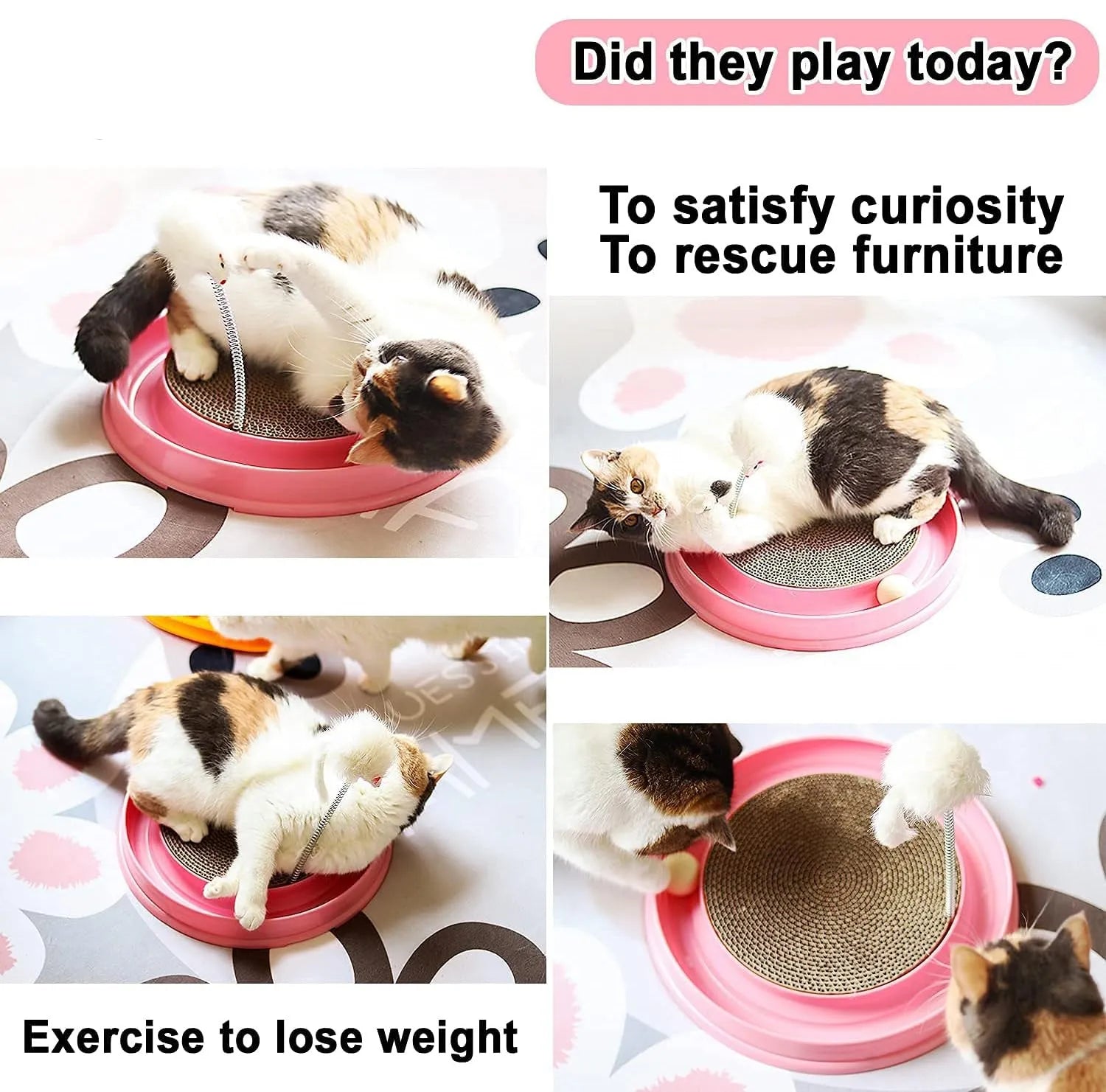 Blue interactive cat scratcher with ball track and replaceable corrugated cardboard scratching surface