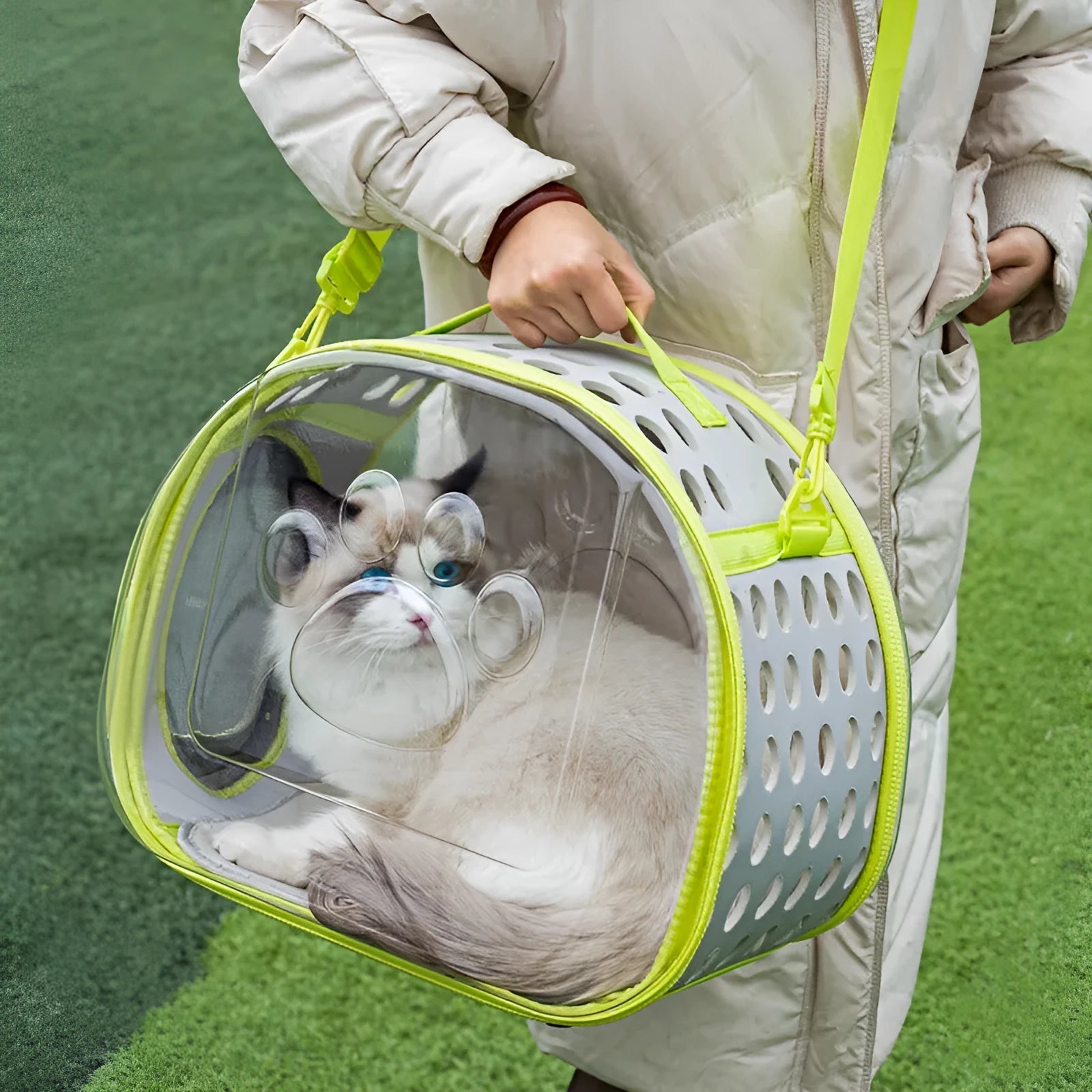 Large transparent hard EVA space capsule-style cat backpack carrier in grass green colour.