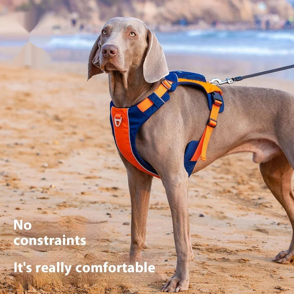 Nylon dog chest strap vest style hand rope in orange and blue with single chest back design