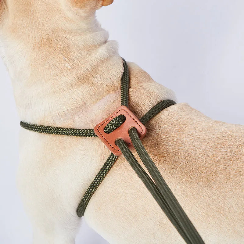 Chest-back dog leash in synthetic silk nylon and cowhide, 143cm long, six monochrome colours available