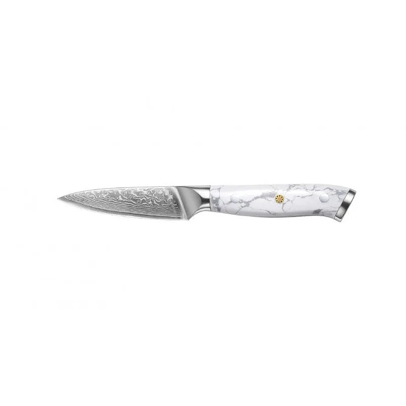 Damascus pattern VG10 steel combined chef's knife with 21cm blade for multiple kitchen cutting functions