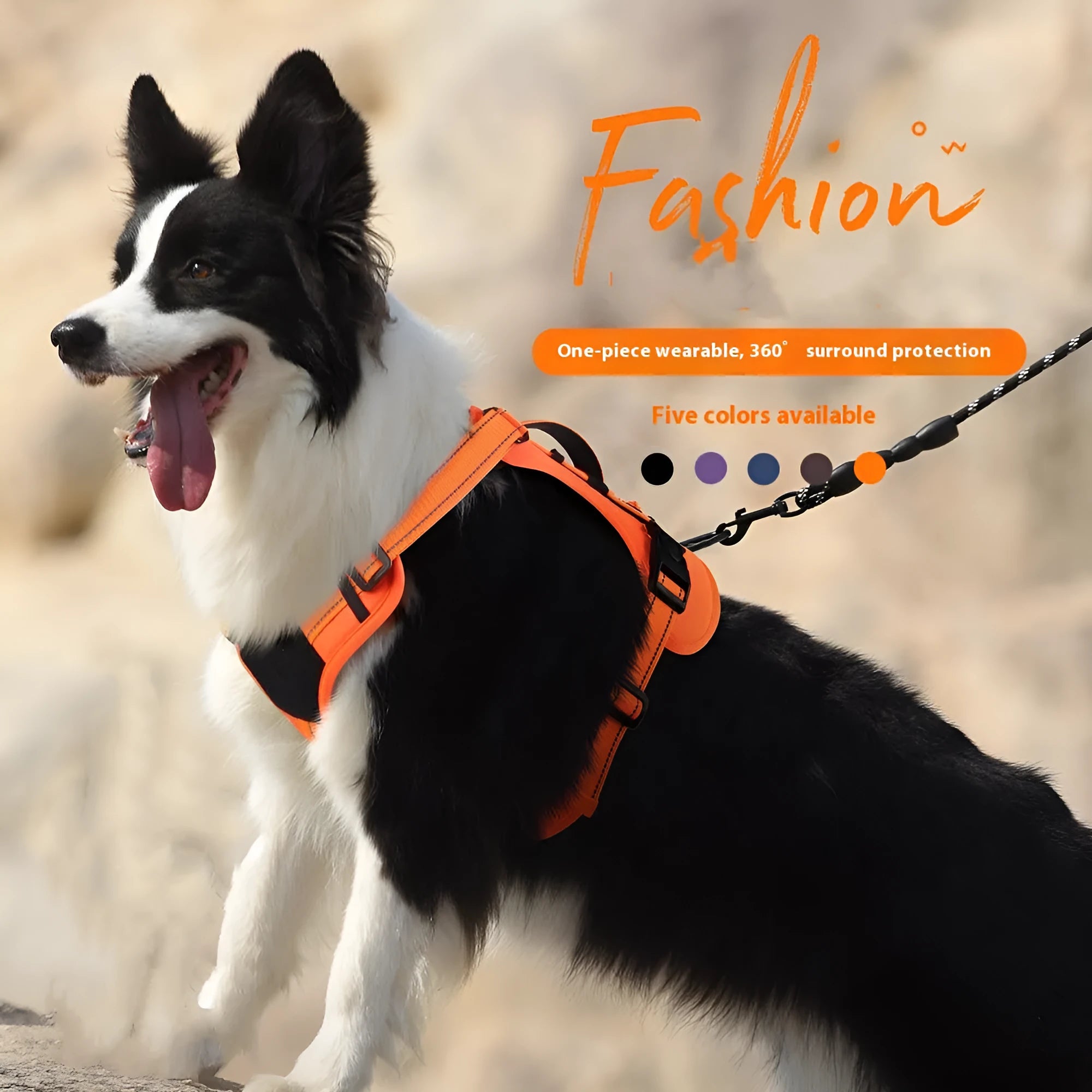 Reflective dog harness with hand-holding rope in PU material showing colour options and sizing