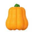 Orange pumpkin-shaped plastic dog chew toy with attached rope handle for large breed dogs