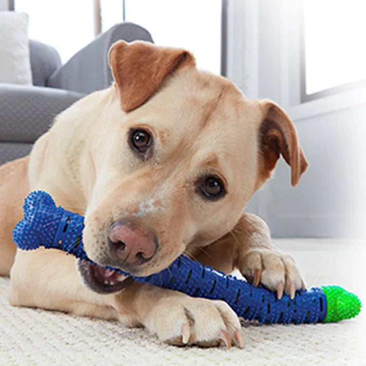Blue green dog dental cleaning toy with silicone bristles and rope core measuring 25 cm