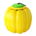 Small orange pumpkin-shaped dog chew toy with squeaker for puppy teething and training