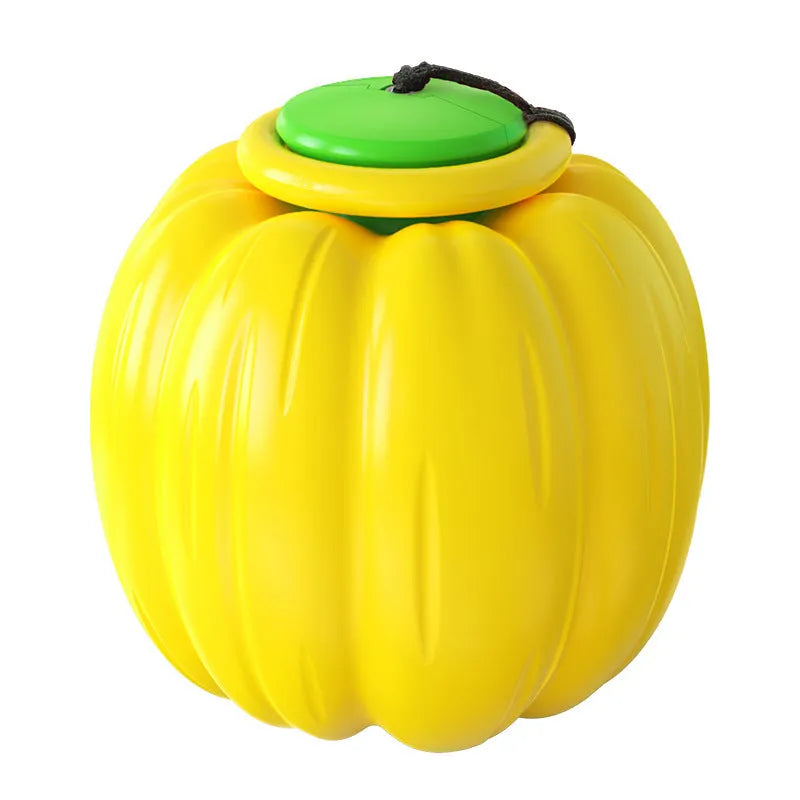 Small orange pumpkin-shaped dog chew toy with squeaker for puppy teething and training
