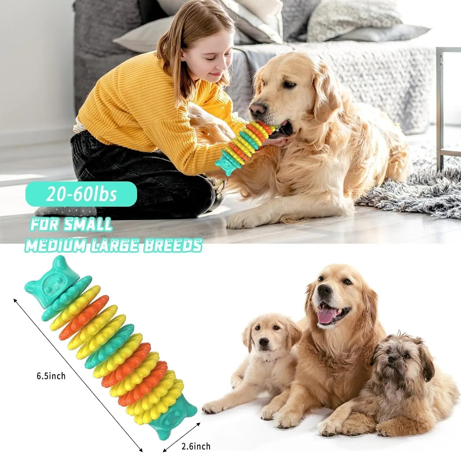 Blue caterpillar-shaped natural rubber dog chew toy for aggressive chewers.