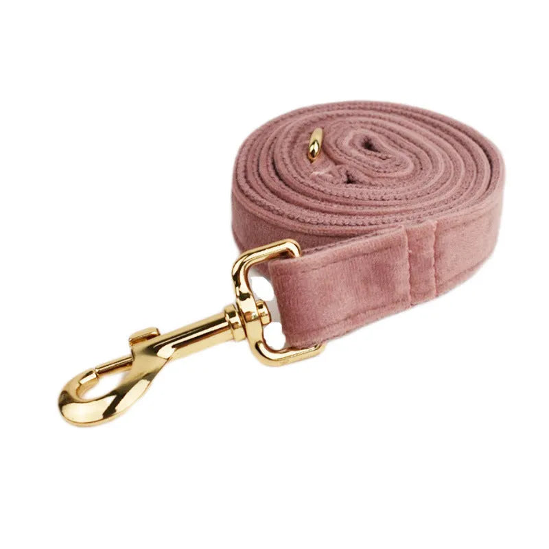 Light purple velvet dog collar with adjustable size for small and medium dogs