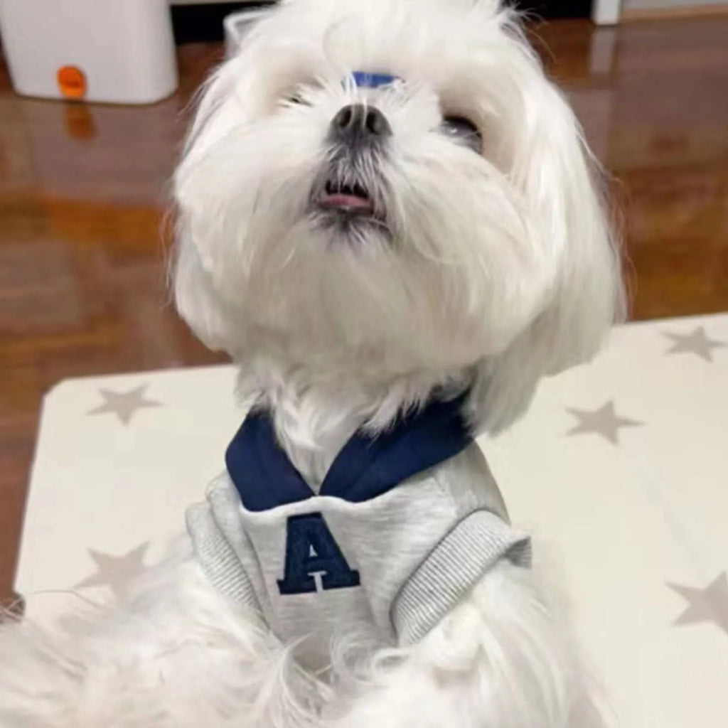 Blue polyester pet hoodie with reflective letters on a dog, slim-fitting design for cats and dogs