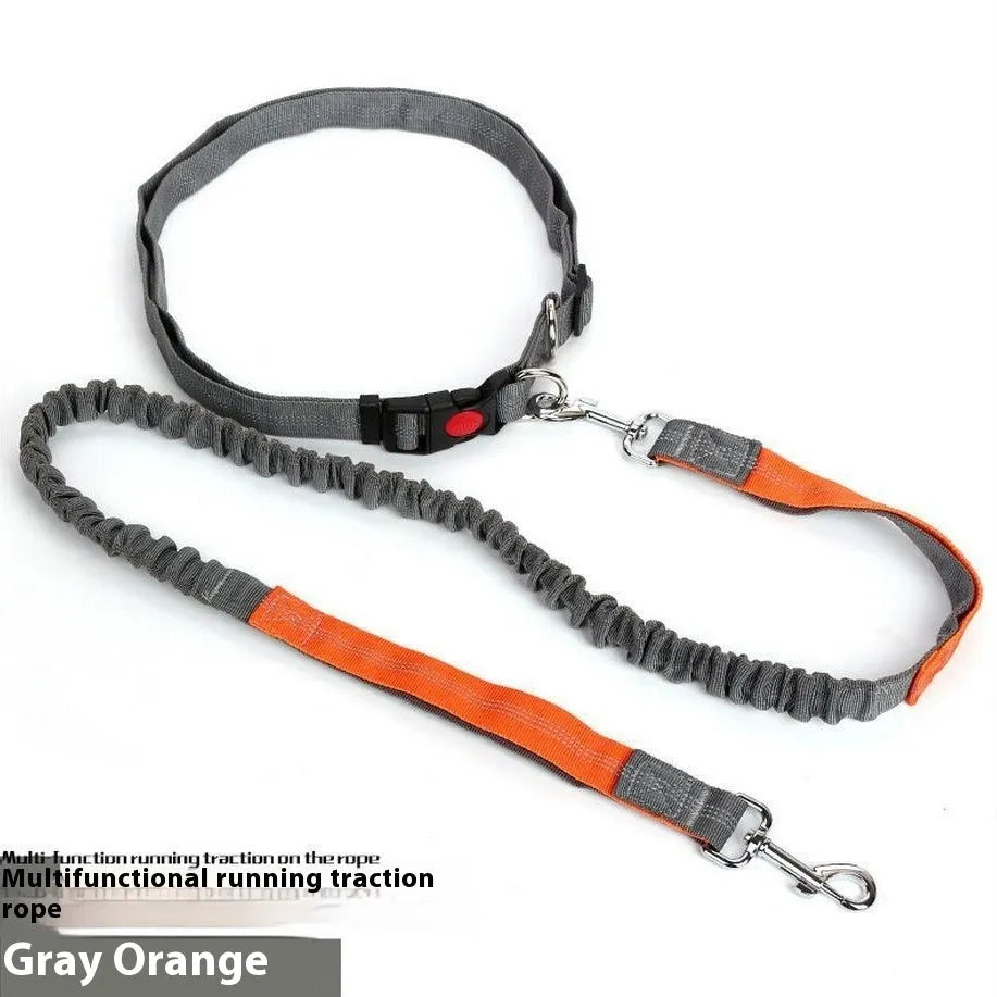 Reflective nylon dog leash with elastic filament sling in grey and green colour combination