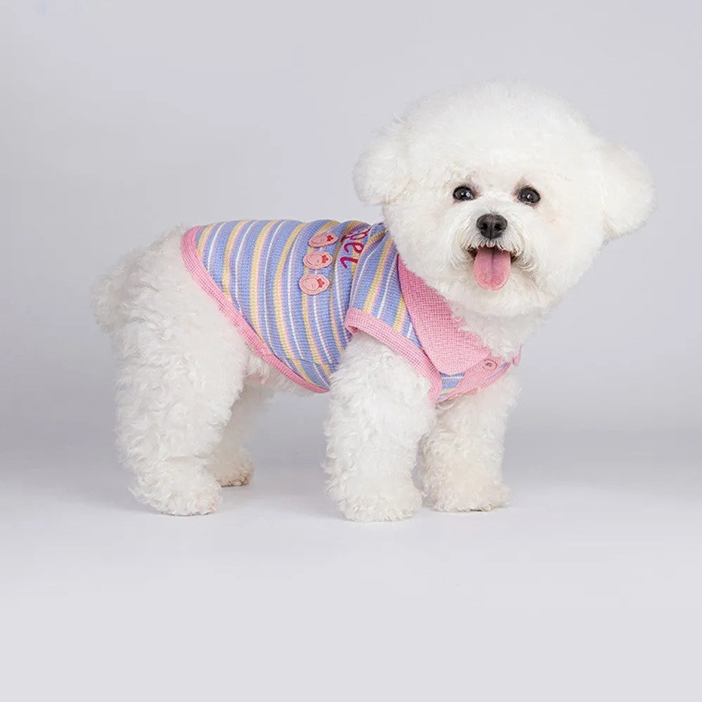 Pink purple autumn vest for small dog or cat with adjustable buckle closure shown in size L