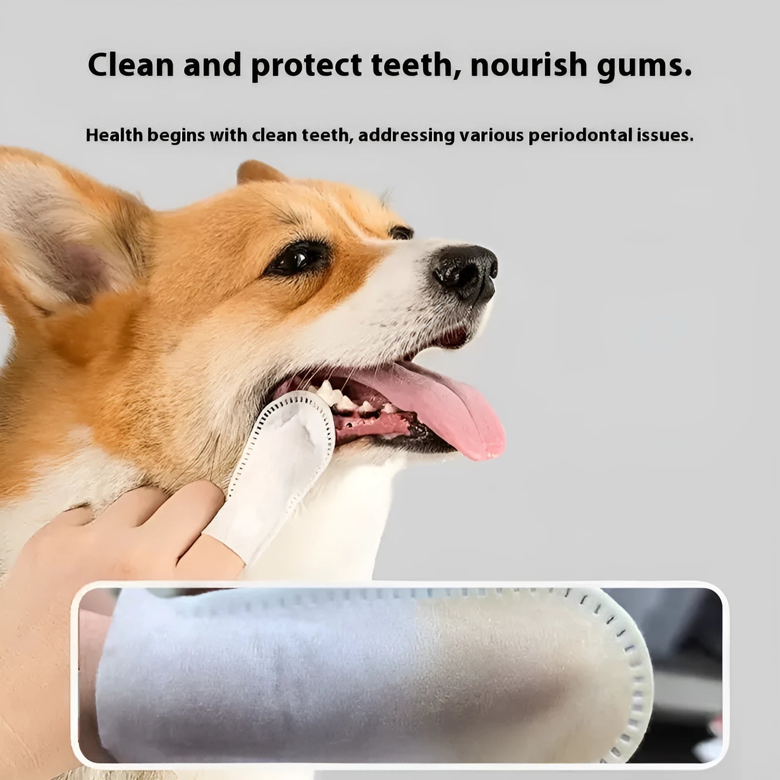 50-piece pack of non-woven fabric pet dental cleaning finger stalls for cats and dogs