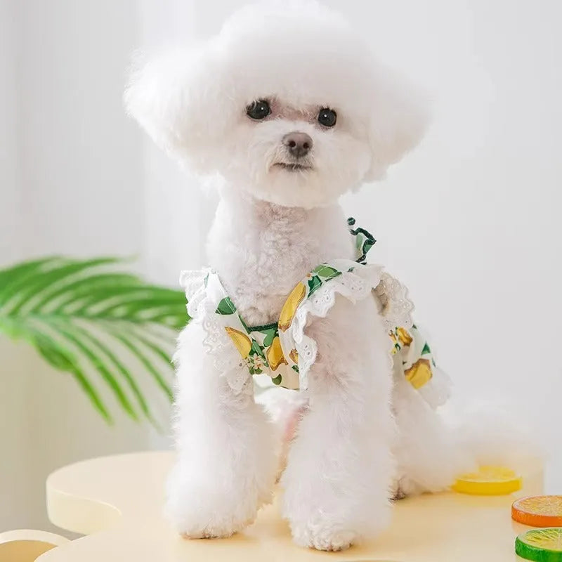 Thin breathable polyester strap dog skirt in Rock Yellow Lemon