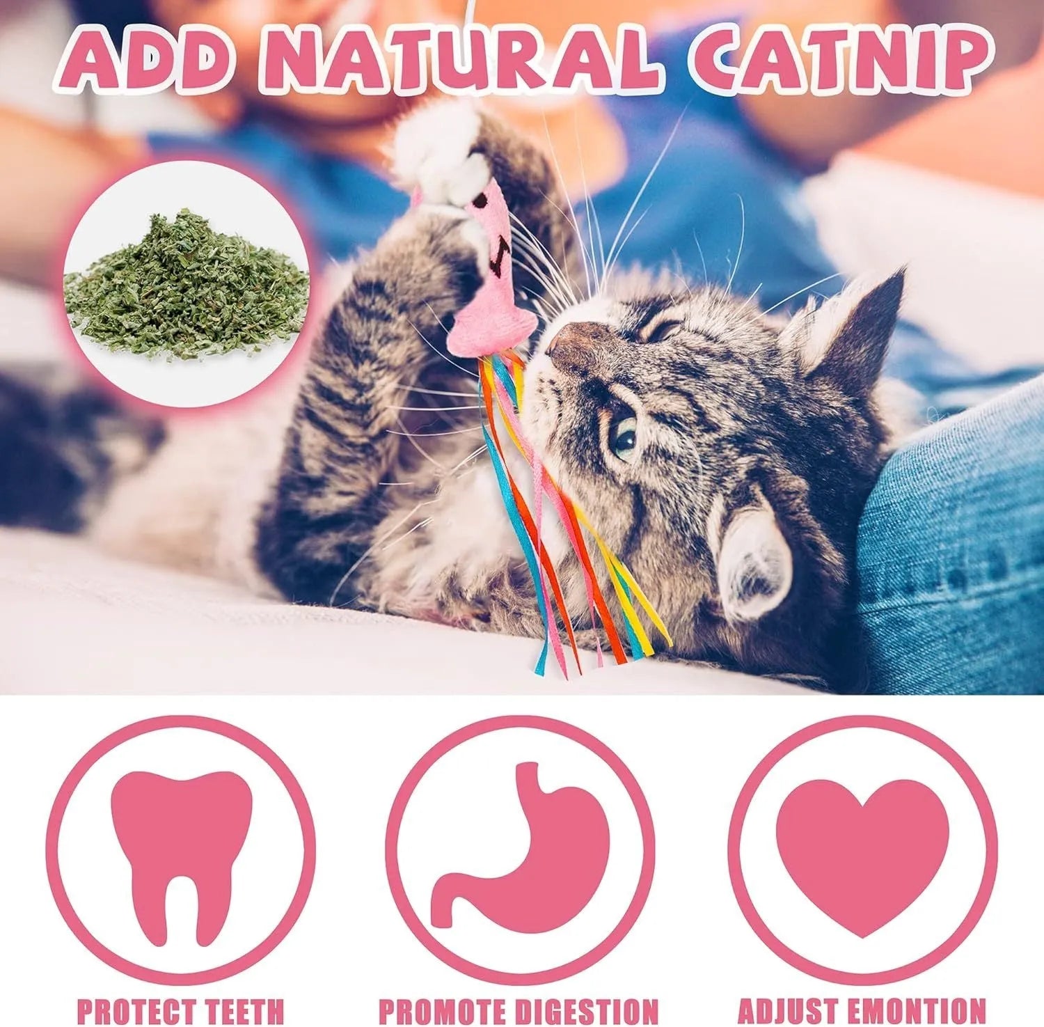 Cat wand toy with colourful ribbons, catnip fish, and bell on wooden handle for interactive play