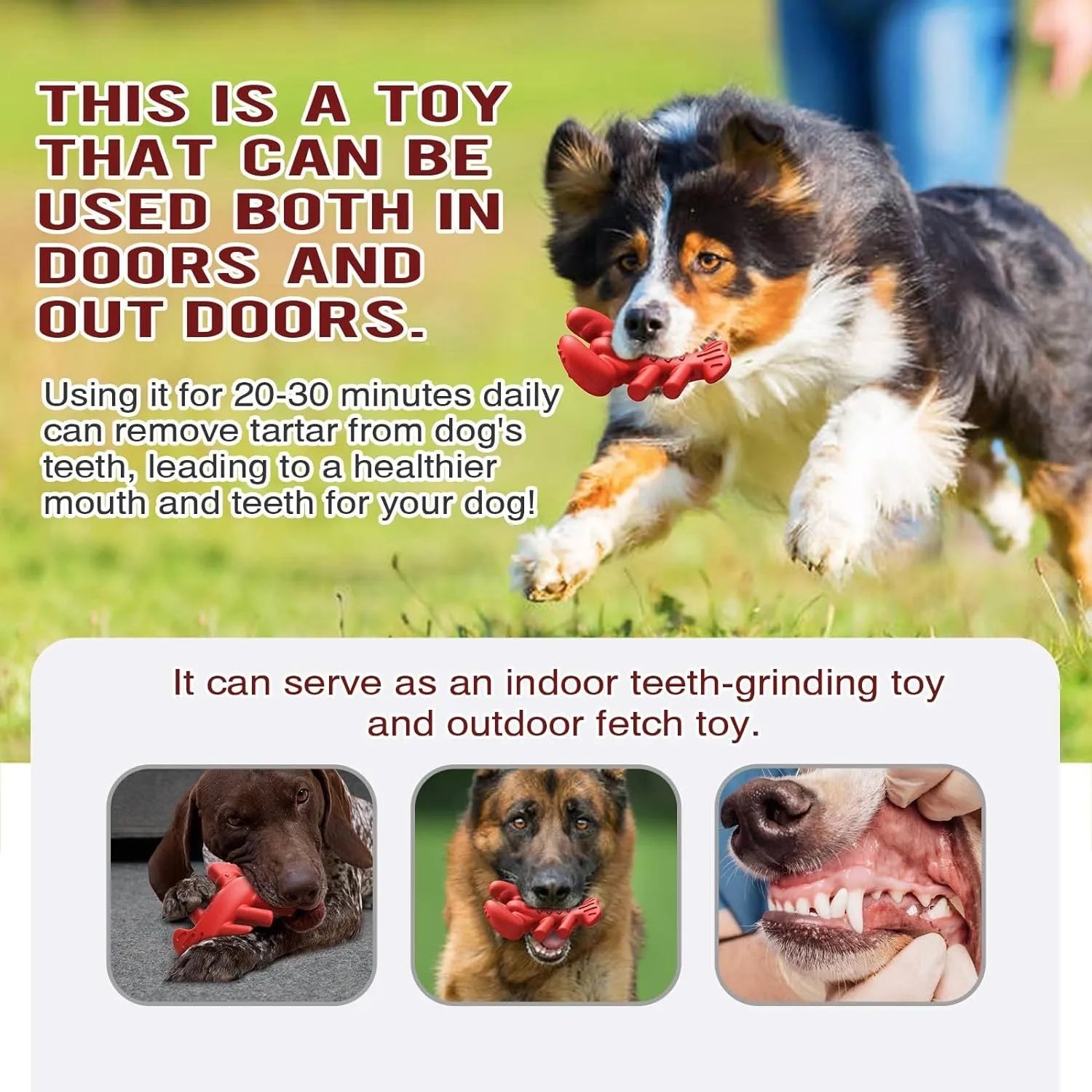 Red hard dog chew toy for aggressive chewers, shown next to a ruler indicating its 170mm length.