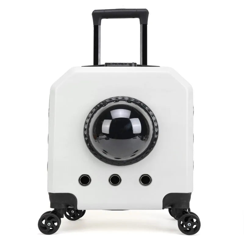 Hard PVC pet flight trolley case in a choice of colours with wheels and a handle.