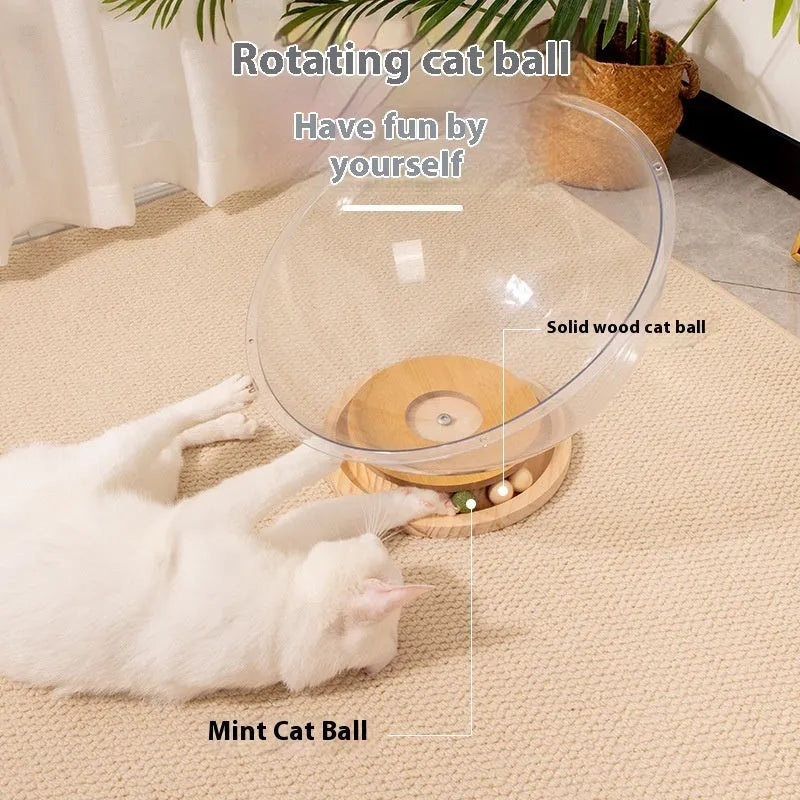 Transparent acrylic space capsule cat bed on wood board base