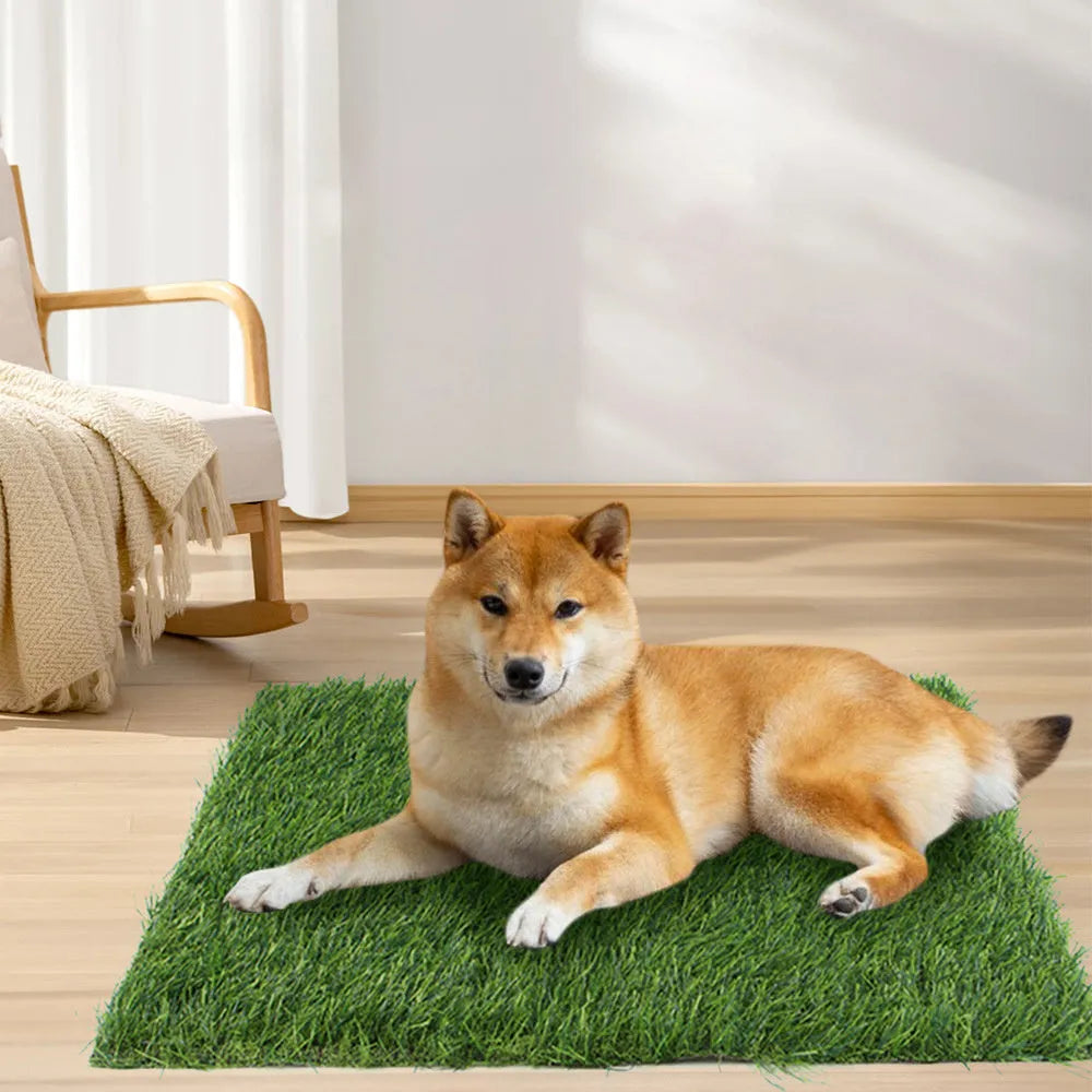 Washable pet lawn mat in 50x60 cm size for indoor dog toilet training on a tiled floor