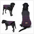 Reflective dog coat in blue-green with breathable mesh chest and alloy harness fasteners