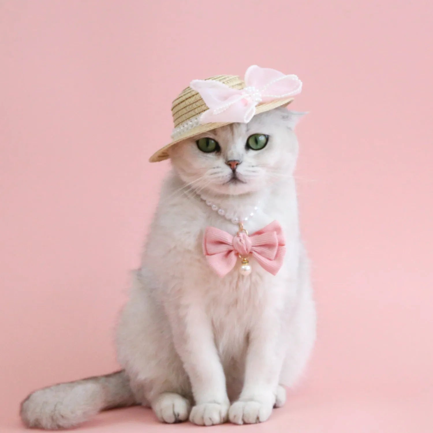 Pet cat wearing woven straw hat with pearl bow decoration in seasonal colour option