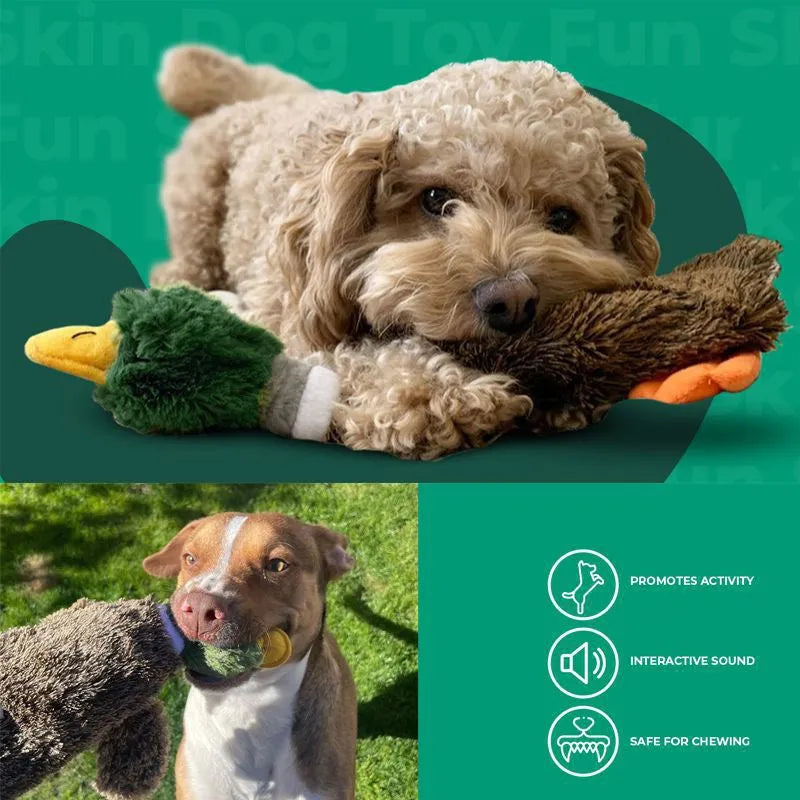 Green Wild Duck design stuffless dog toy with squeakers in head and tail