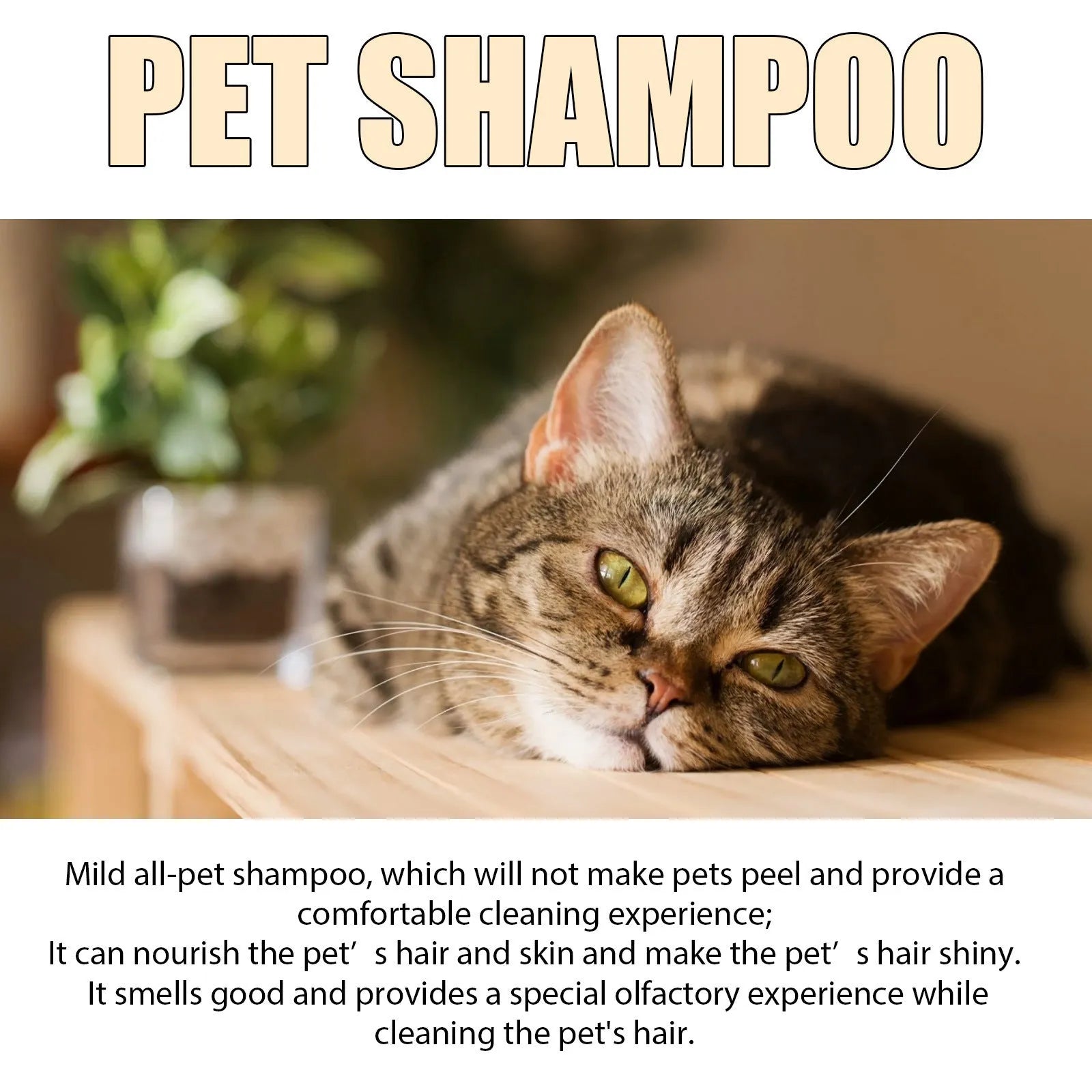 Mild dog shampoo bottle in 100ml or 300ml size for soft, tangle-free coats