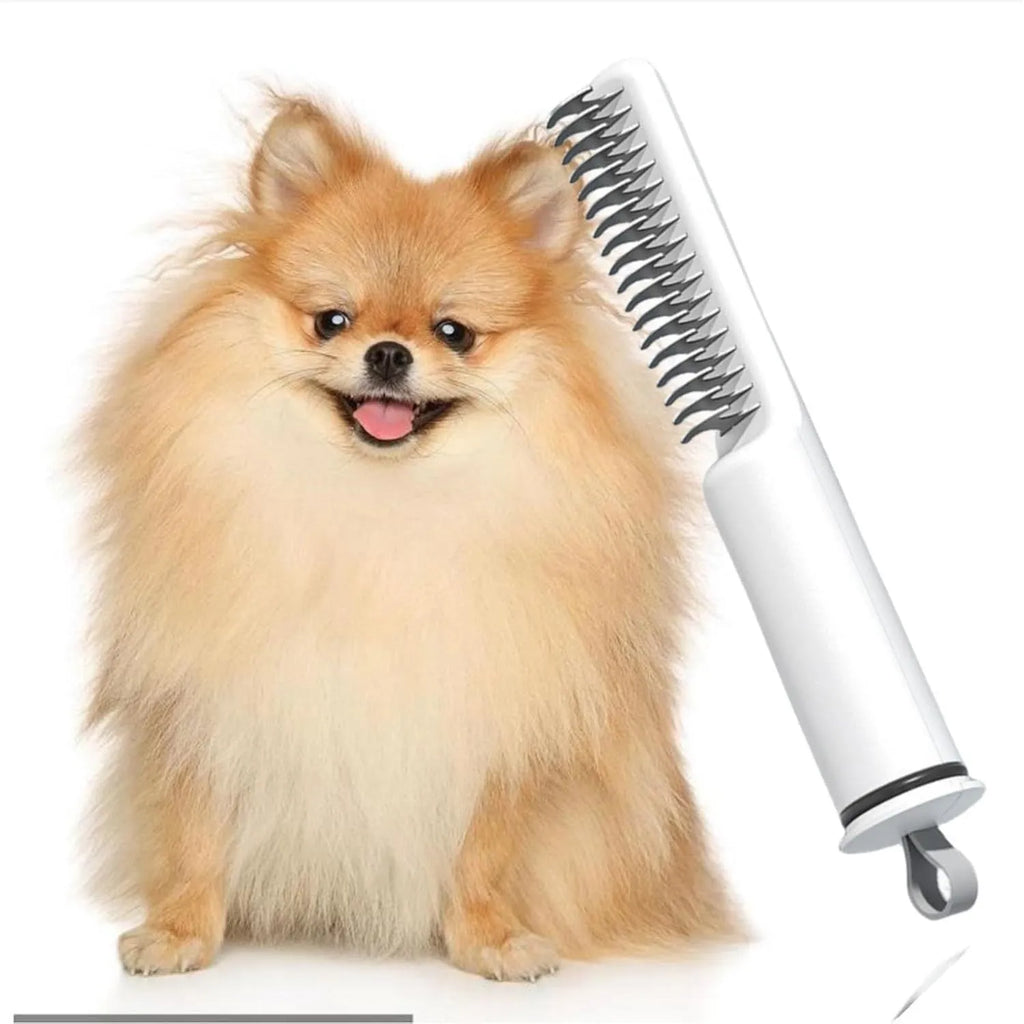 Stainless steel pet dematting comb with rake teeth and a handle for grooming dogs.