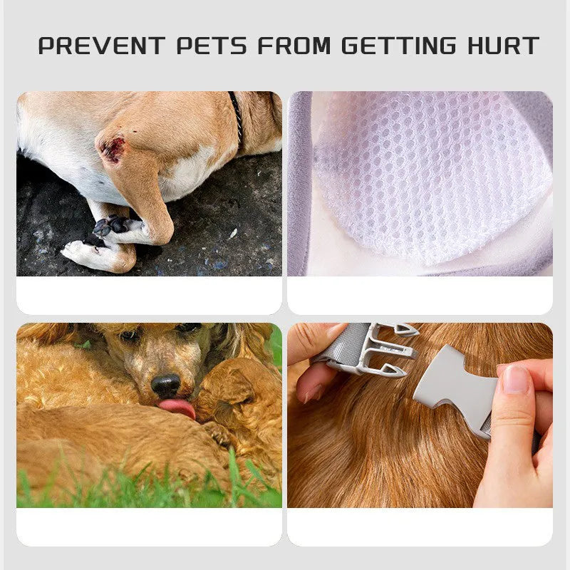 Dog wearing blue knee protector with thick elbow padding and matching scarf