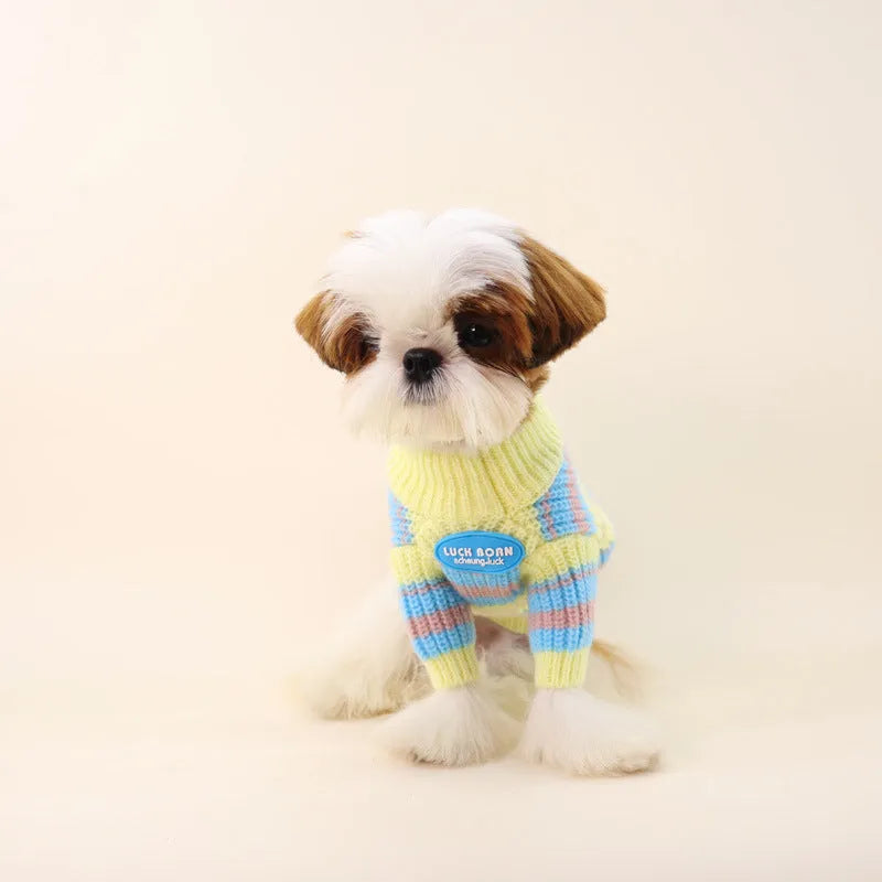 Blue and yellow striped wool sweater for small dog breeds on mannequin showing size options