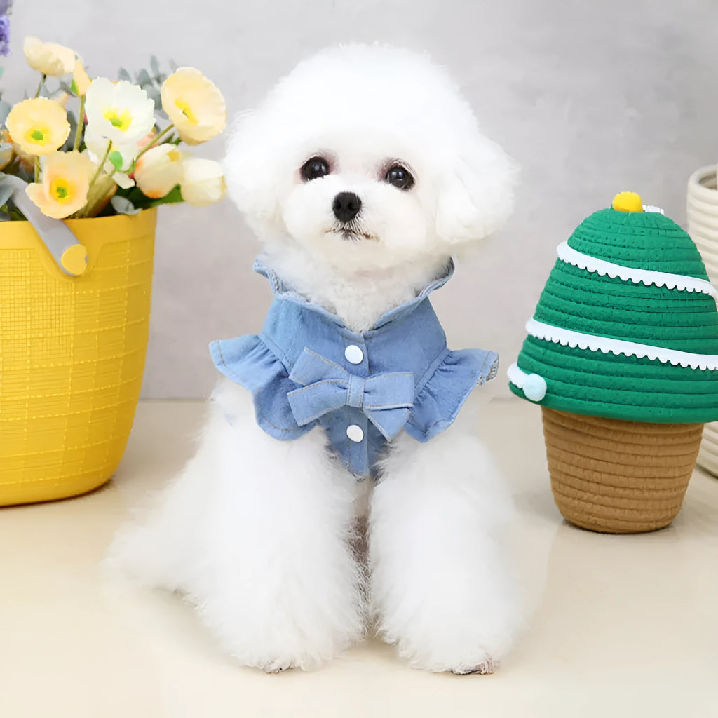Blue denim dog dress with ruffles vest design and leash hook attachments