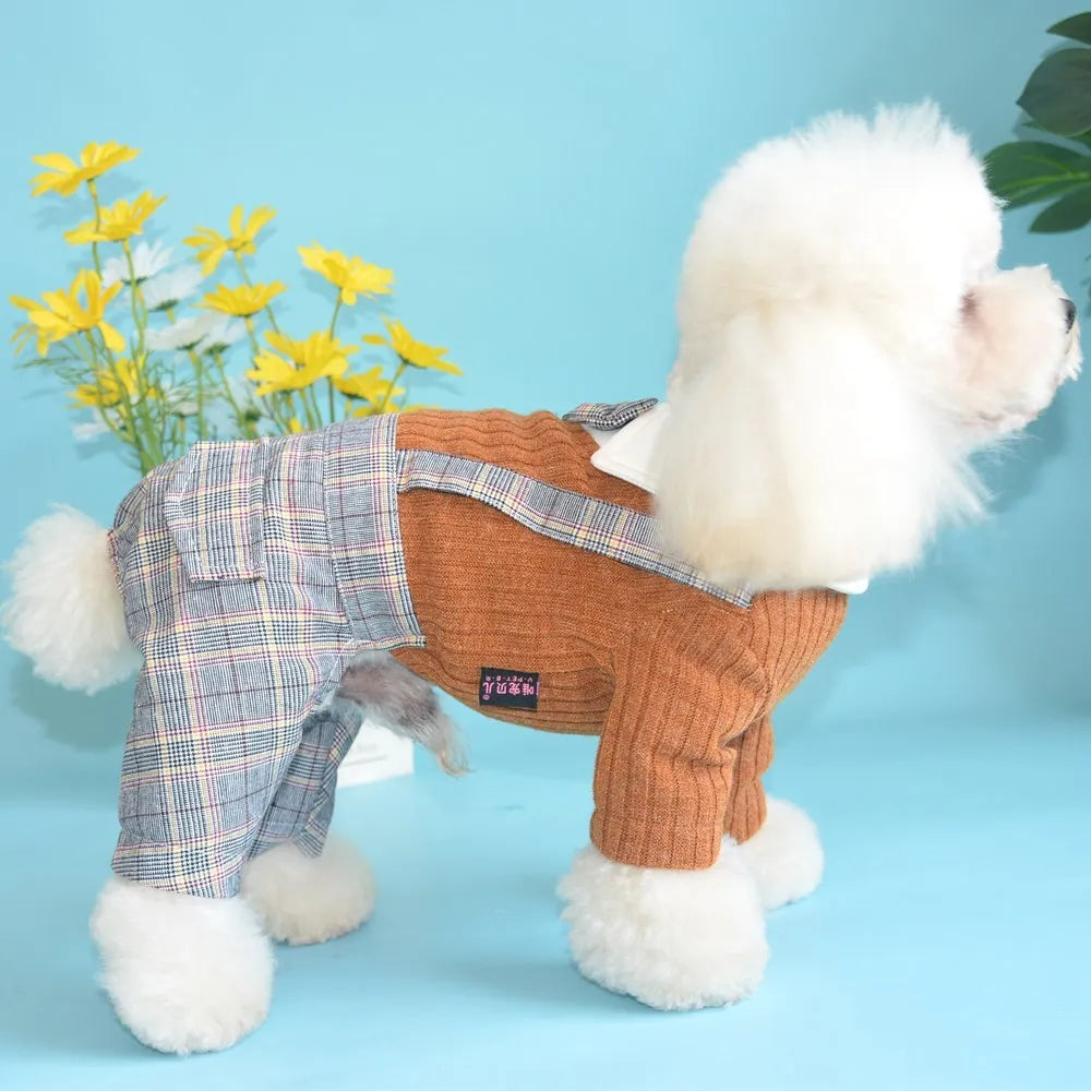 Orange cotton dog shirt for small pets with suit-style design
